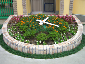 flower (114)