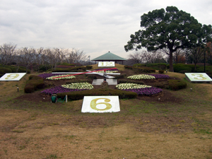 flower (119)