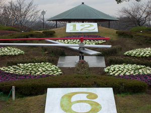 flower (121)