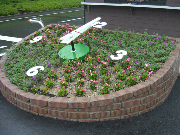 flower (128)