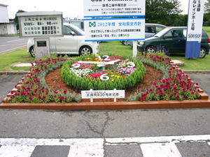 flower (137)