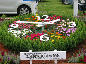 flower (139)
