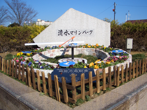 flower (145)