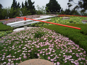 flower (160)