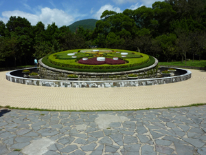 flower (168)