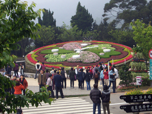 flower (170)
