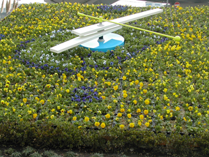 flower (86)
