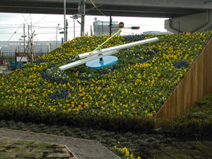 flower (88)