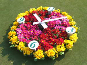flower (92)