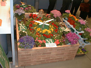 flower (99)