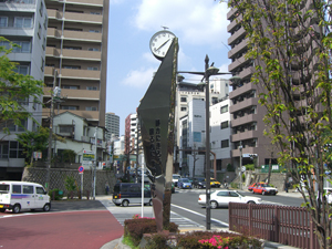 pole (11)