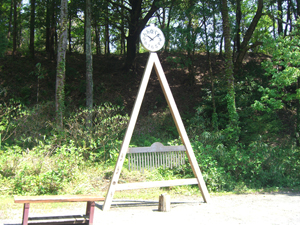 pole (15)