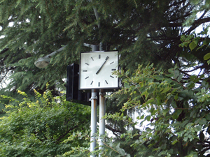 pole (32)