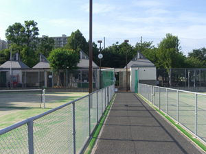 pole (37)
