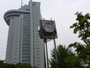 pole (45)