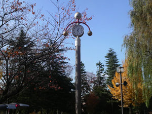 pole (49)