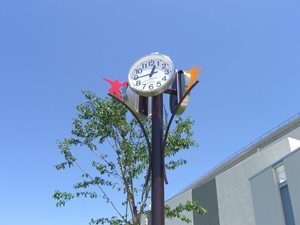 pole (70)